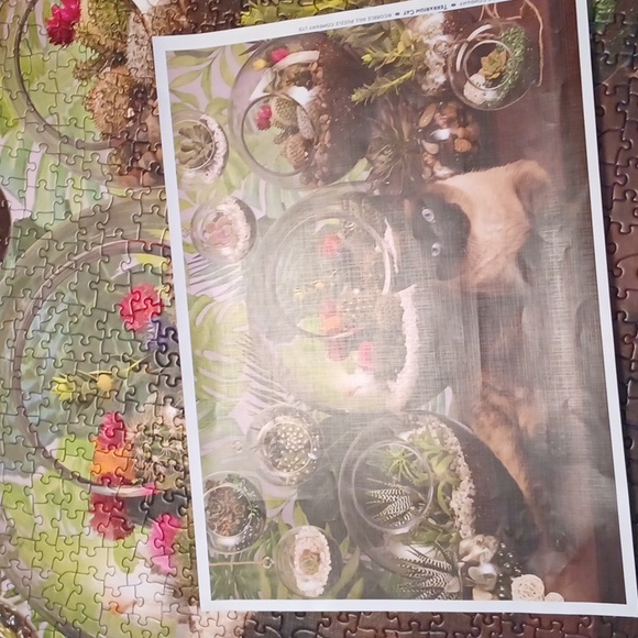 🧩Terrarium Cat 1000 piece puzzle - Picture 4 of 6